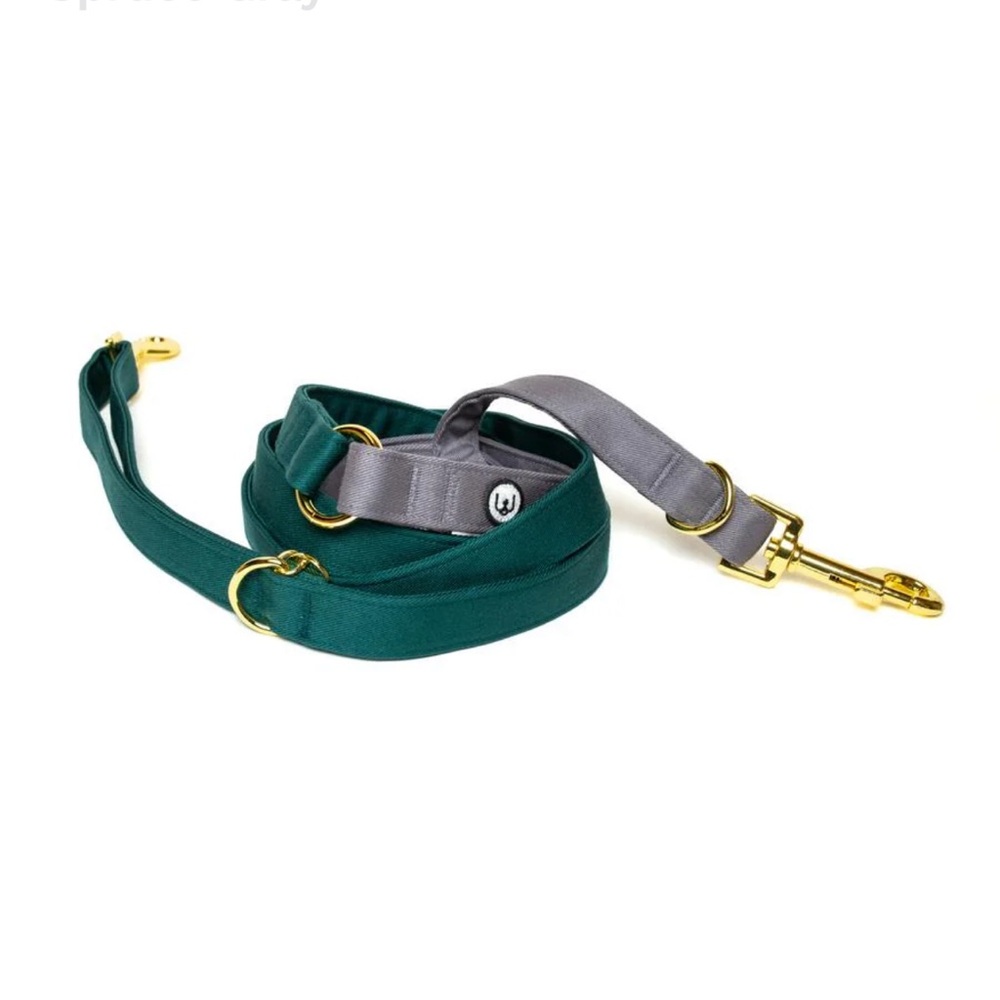 Eat Play Wag No-Pull Harness & 1” Convertible Leash Set - Spruce Medium - Picture 2 of 9